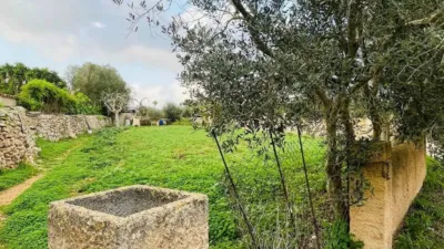 Rustic house in Felanitx photo 11