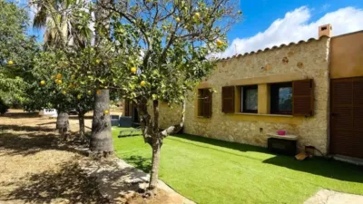 Rustic house in Felanitx photo 22