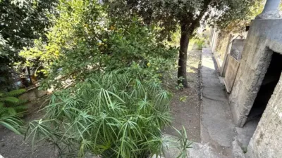 Flat in Felanitx photo 21