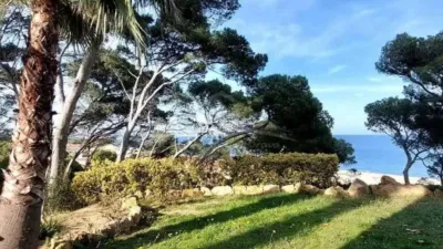 Chalet in Begur photo 18