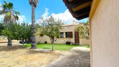 Rustic house in Felanitx photo 21
