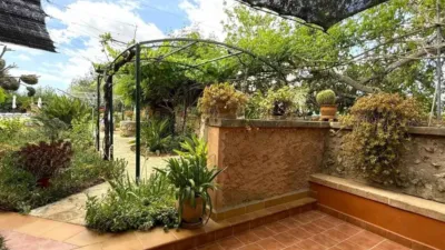 Rustic property in Felanitx photo 42