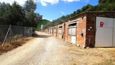 Rustic house in Brunyola photo 44