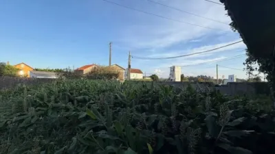 Casa - Més