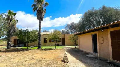 Rustic house in Felanitx photo 23