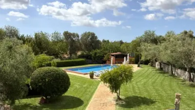 Rustic property in Felanitx photo 11