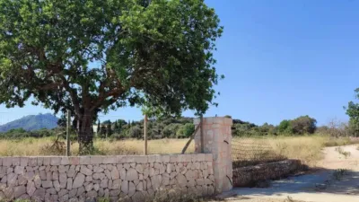 Rustic house in Felanitx photo 9