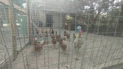 Rustic house in Palafrugell photo 10