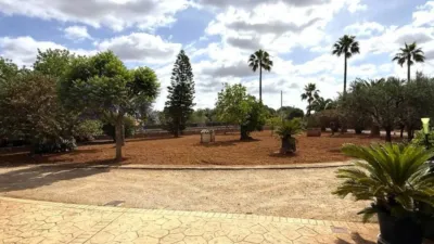 Rustic property in Felanitx photo 57