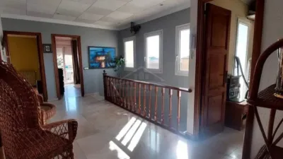 Chalet in Palafrugell photo 43