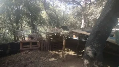 Rustic house in Palafrugell photo 23