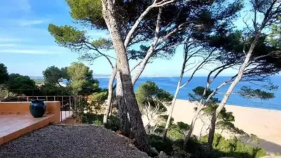 Chalet in Begur photo 17