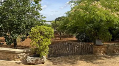Rustic property in Felanitx photo 58
