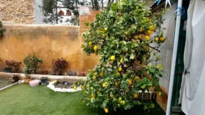 Chalet in Palafrugell photo 20
