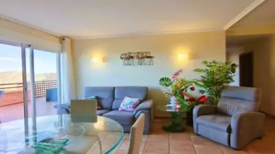 Apartment in Pedreguer photo 5