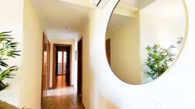 Apartment in Pedreguer photo 10
