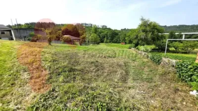 Chalet in O Corgo photo 8