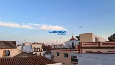 Apartment in Seville City Centre photo 31
