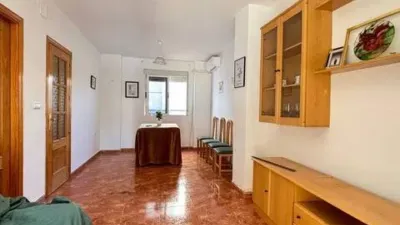 Apartment in Loja photo 3