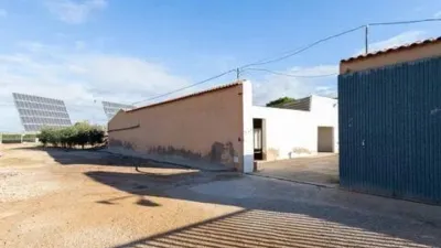Rustic house in Pozo Estrecho photo 12