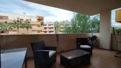 Pis - Vista 2