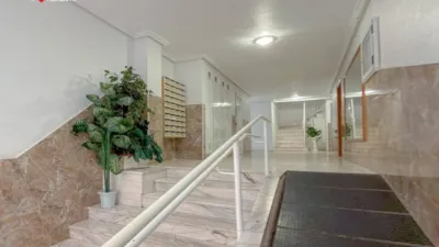Pis – Torrevieja - Vista 5