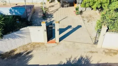 Casa – Crevillent, el Baix Vinalopó - Més