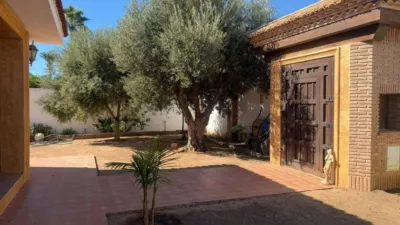 Casa – Torrevieja - Vista 2