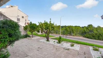 Piso – Orihuela - Vista 4