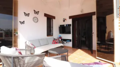 Pis – San Fulgencio - Vista 5