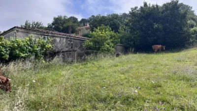 Rustic house in Carbia photo 2