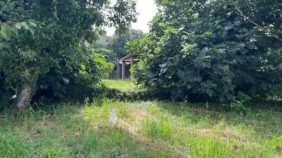 Rustic house in Carbia photo 3