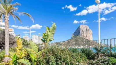 Apartment in Playa del Arenal Bol-Playa del Cantal Roig photo 11