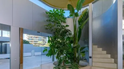 Apartment in Playa del Arenal Bol-Playa del Cantal Roig photo 16