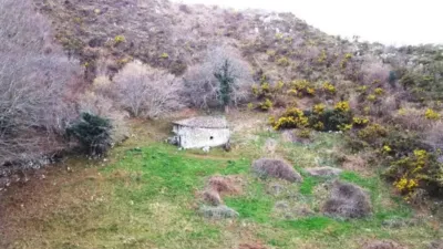 House - Més