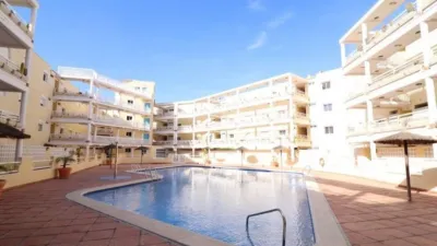 Pis – Orihuela - Vista 2