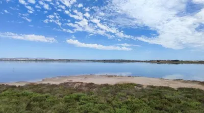 Terreno en venta en Guardamar del Segura - Vista 3