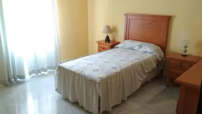 Apartment in Bornos photo 5