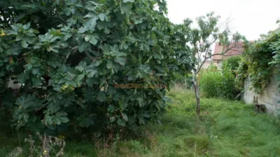 Casa – Neda, A Buída, Santa María - Més
