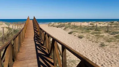 Apartment in Guardamar del Segura photo 19