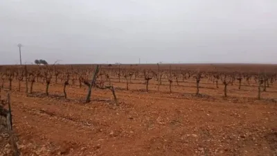Terreno en venta en Villarrobledo - Vista 2