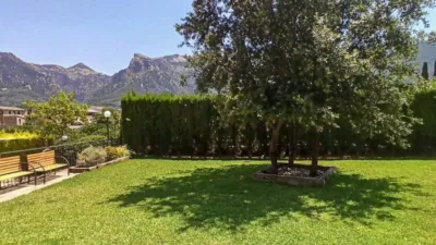 Duplex in Sóller photo 8