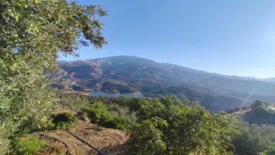 Rustic house in El Pinar photo 21