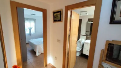 Rustic house in El Pinar photo 23
