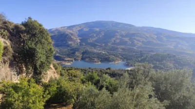 Rustic house in El Pinar photo 32