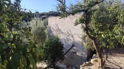Rustic house in El Pinar photo 34