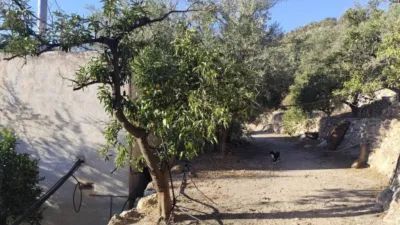 Rustic house in El Pinar photo 35