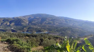 Rustic house in El Pinar photo 37