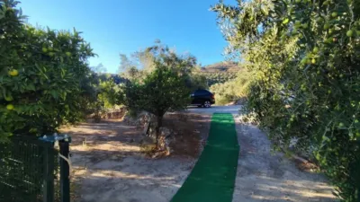 Rustic house in El Pinar photo 3