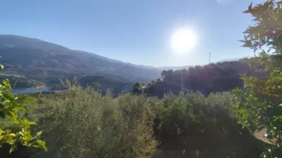 Rustic house in El Pinar photo 5